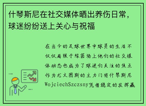 什琴斯尼在社交媒体晒出养伤日常，球迷纷纷送上关心与祝福