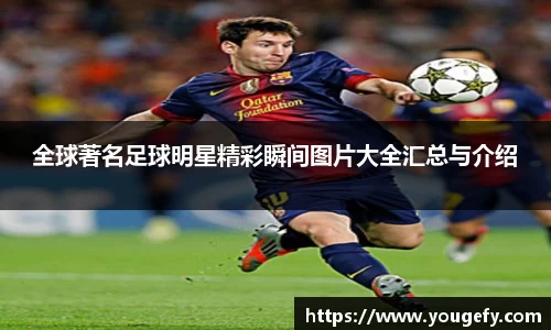 智博19有限公司